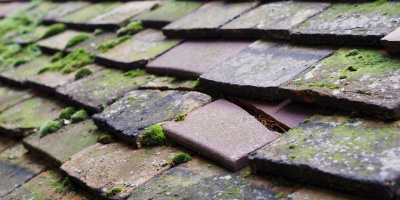 Compton Martin roof repair costs